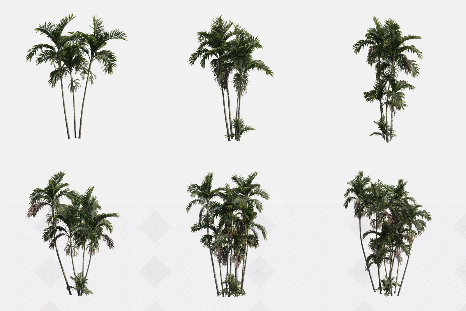 景观树3D模型下载【ID:1175825444】