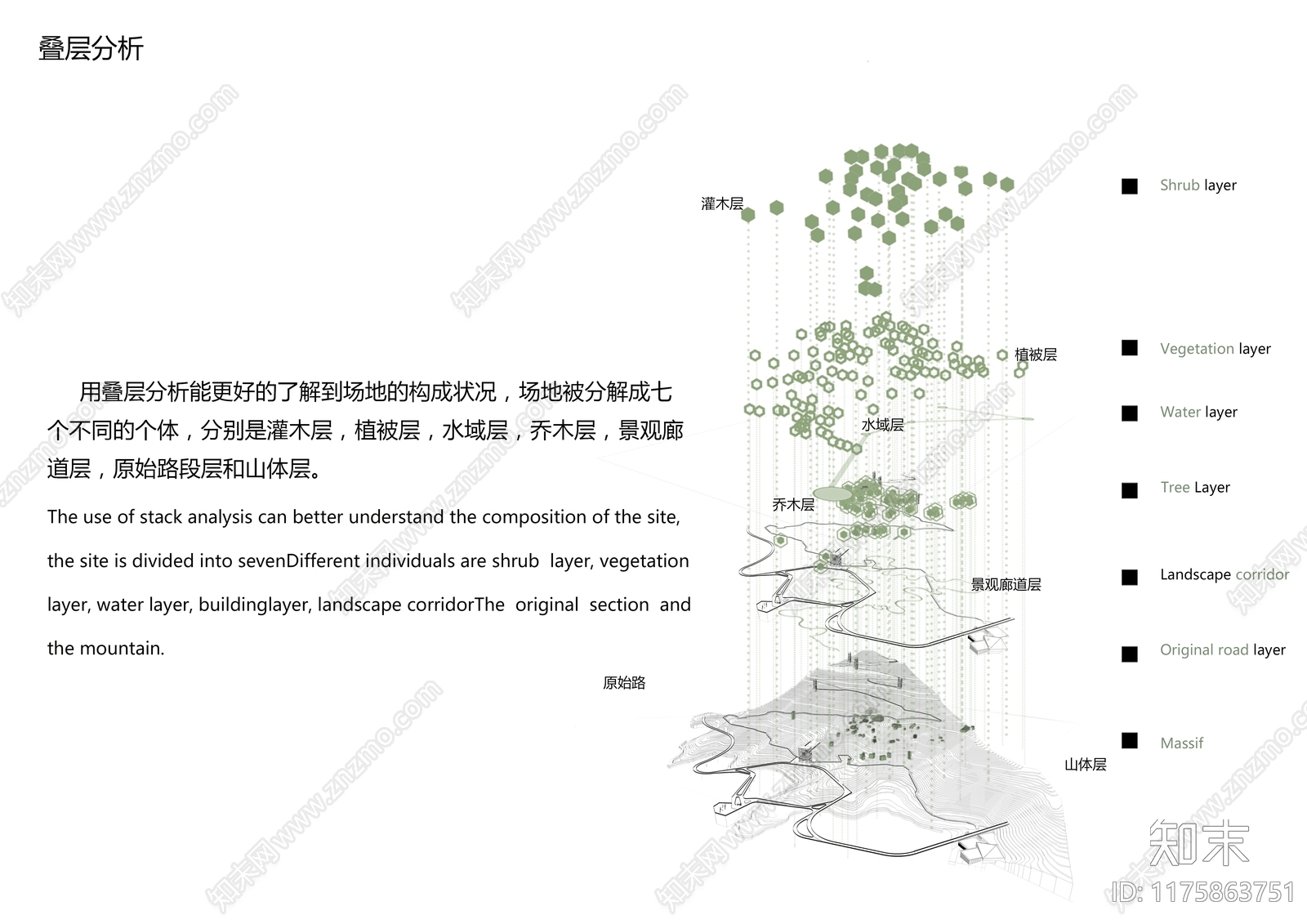 植物分析图设计素材精品下载_知末网