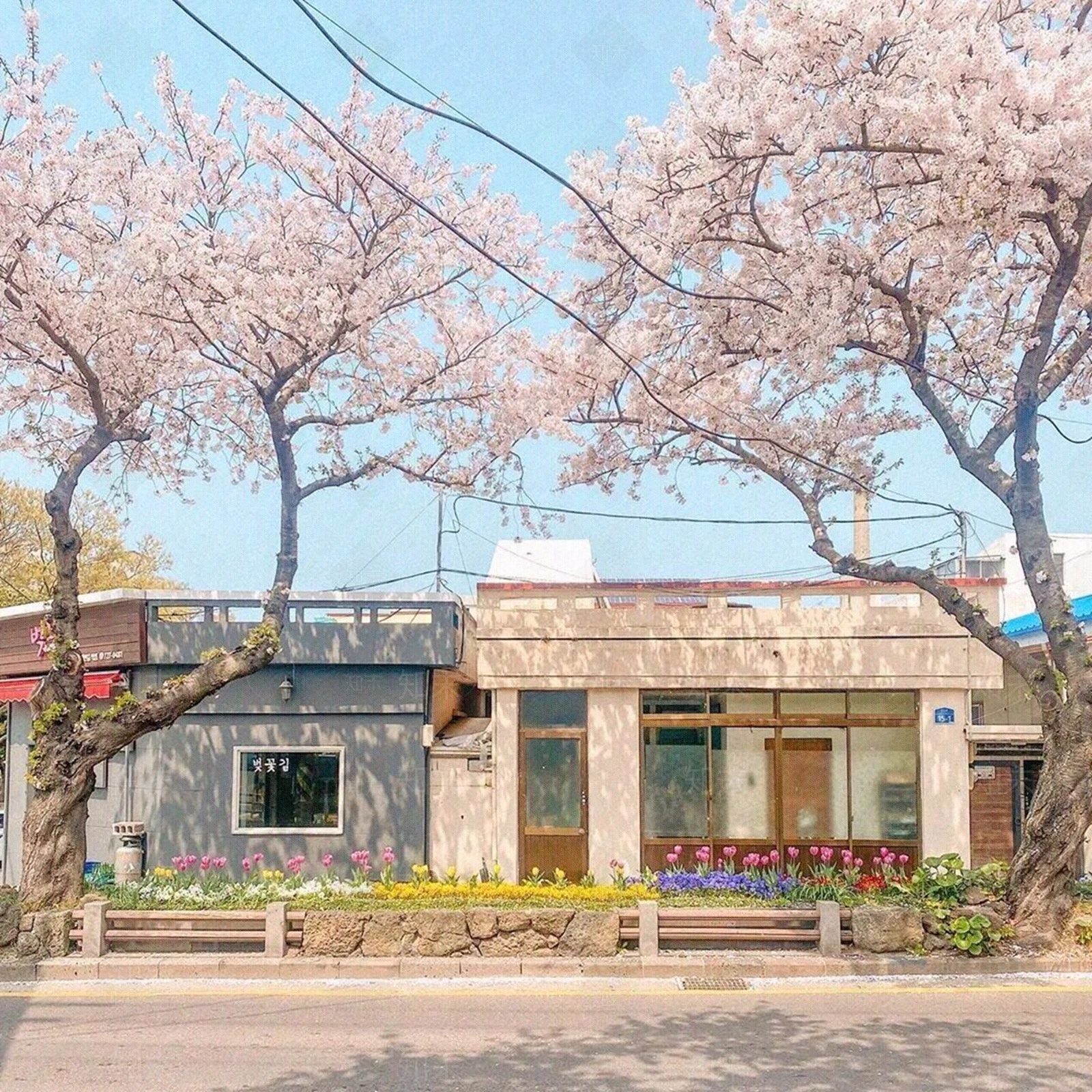 现代街道外景贴图下载【ID:1175901265】