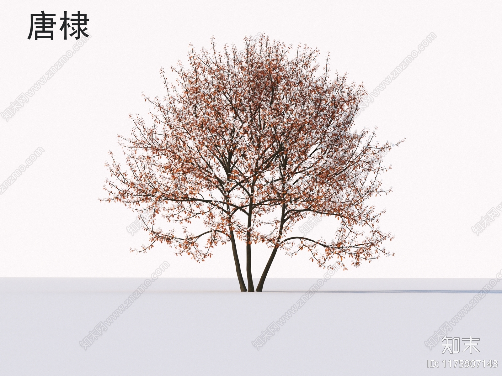 景观树3D模型下载【ID:1175907143】