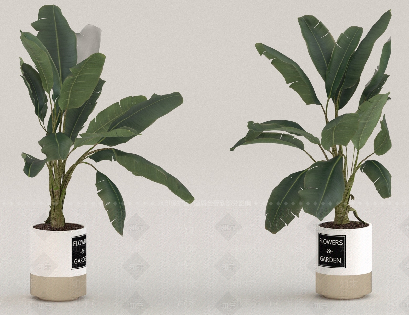 其他绿植3D模型下载【ID:1175946811】