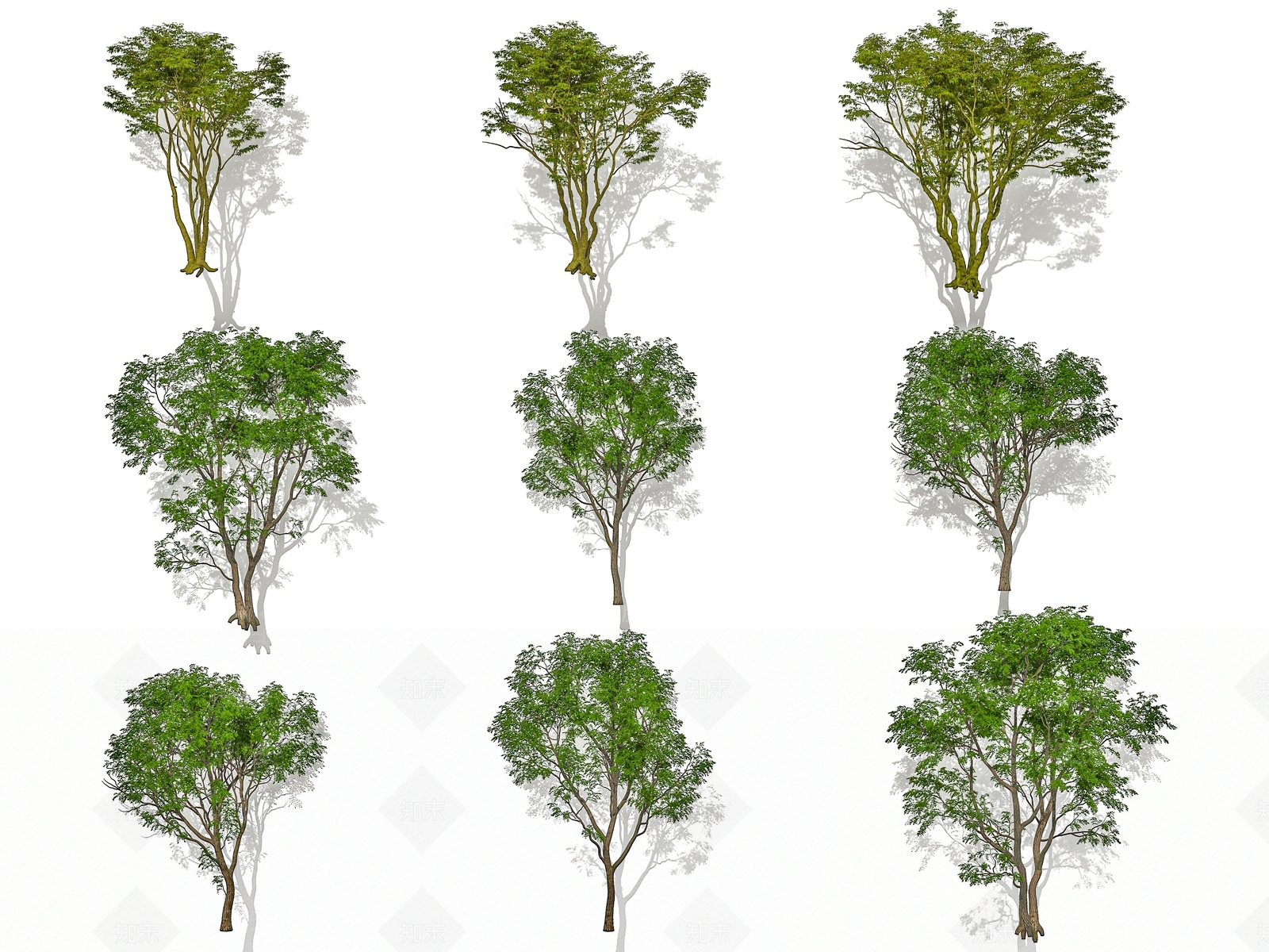 景观树3D模型下载【ID:1175984893】