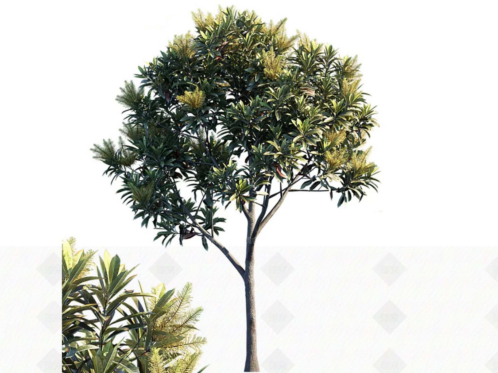 景观树3D模型下载【ID:1176003809】