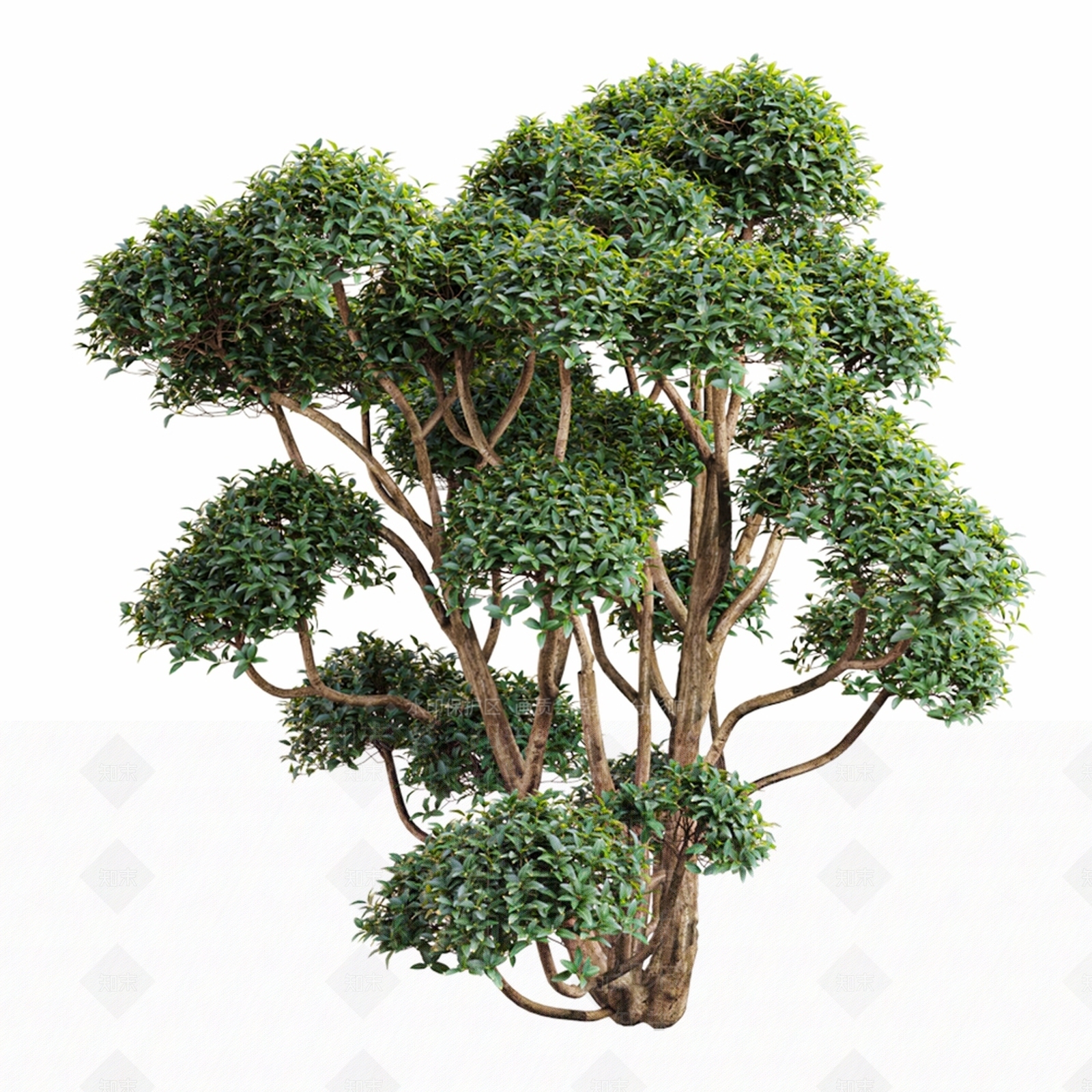 其他绿植3D模型下载【ID:1176011979】