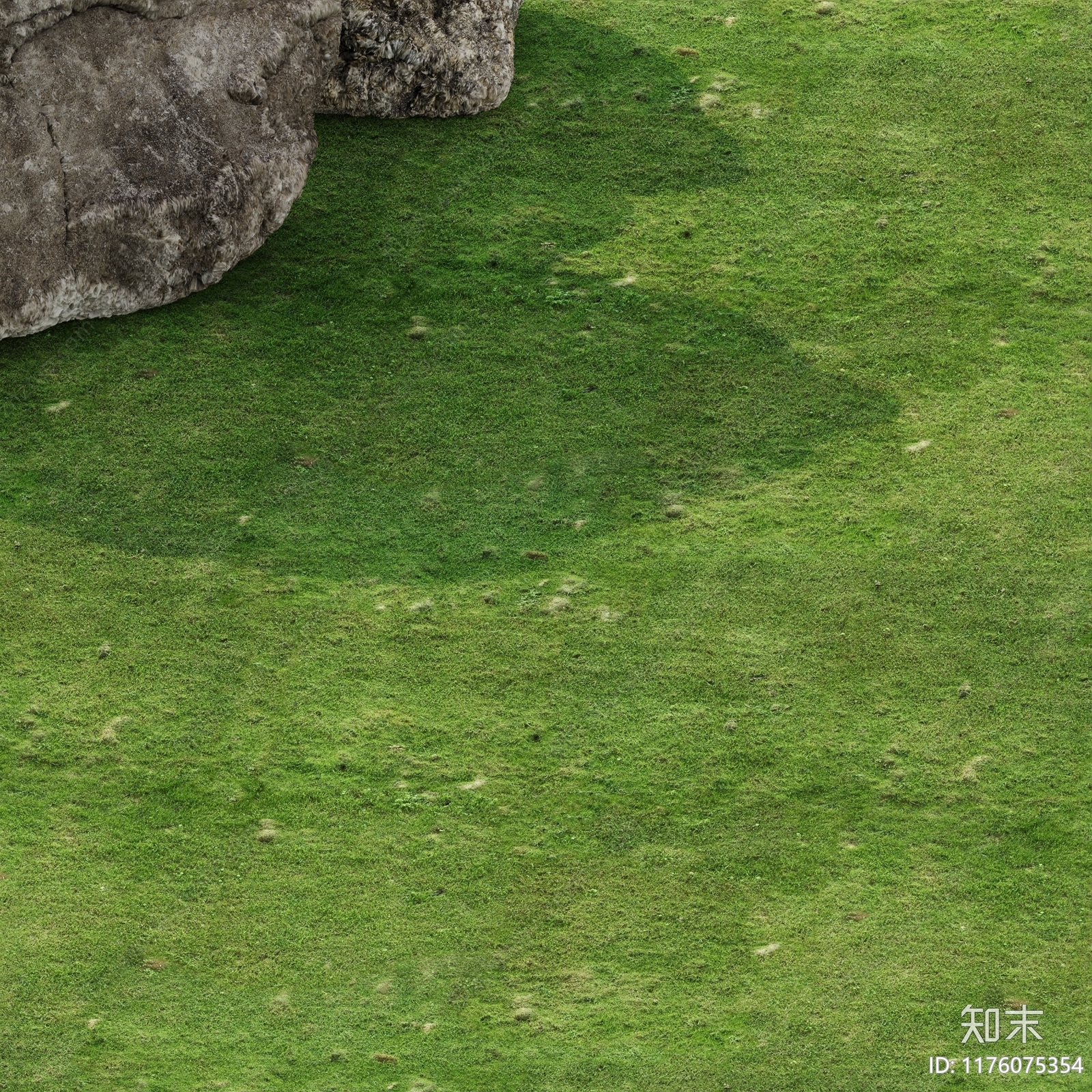 草地贴图下载【ID:1176075354】