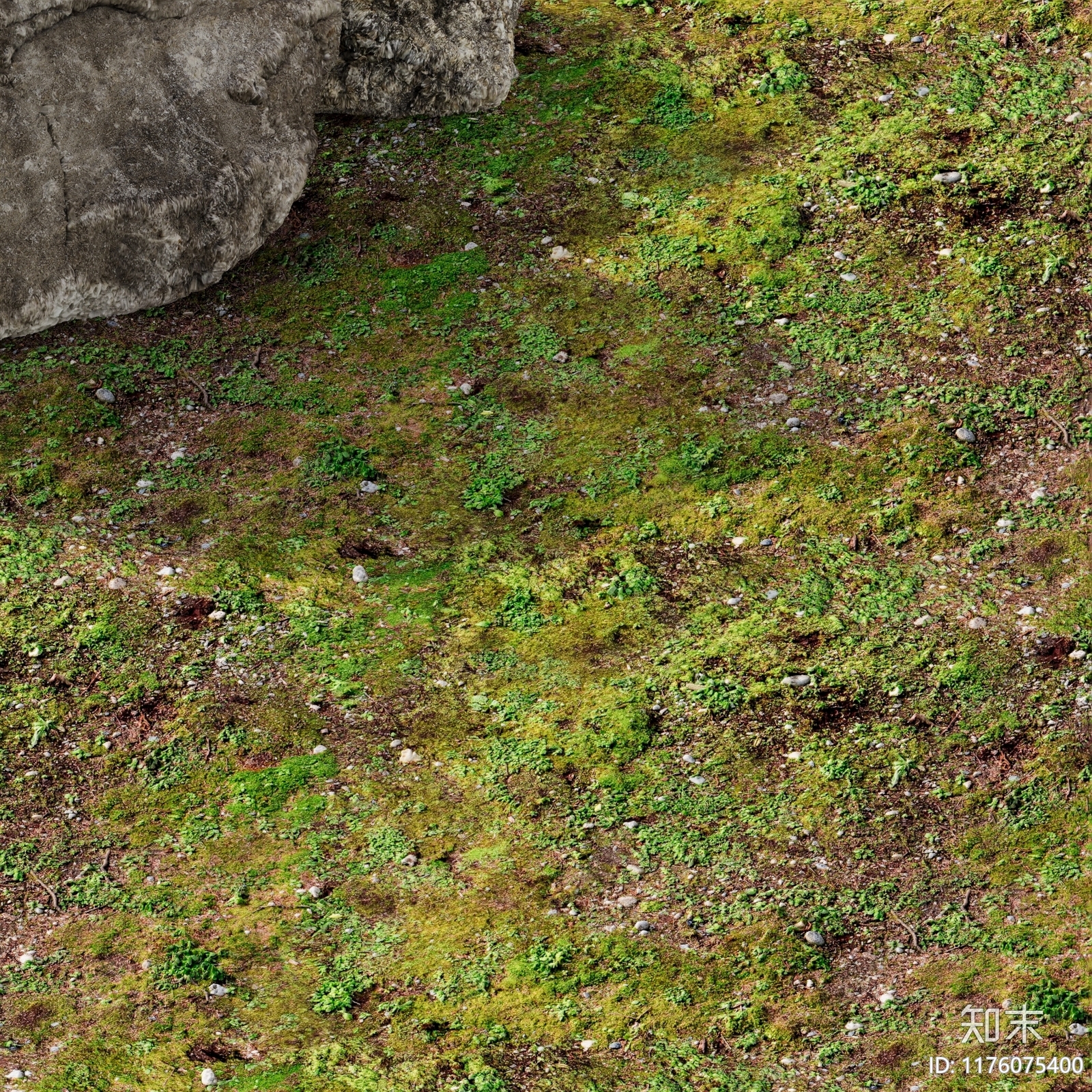 草地贴图下载【ID:1176075400】