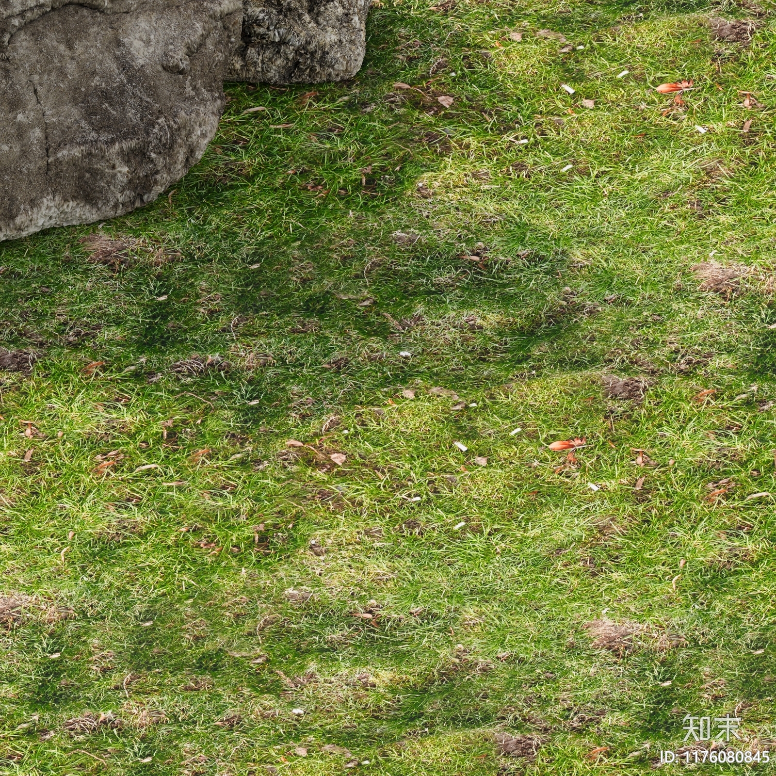 草地贴图下载【ID:1176080845】