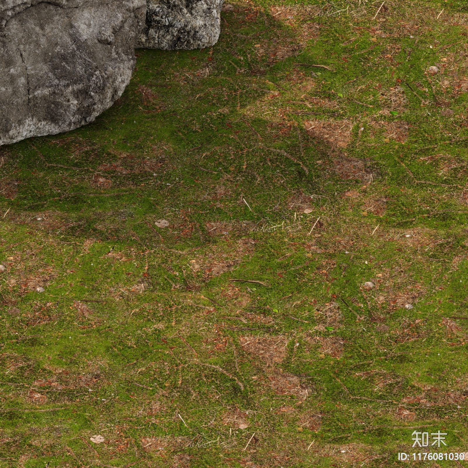 草地贴图下载【ID:1176081030】