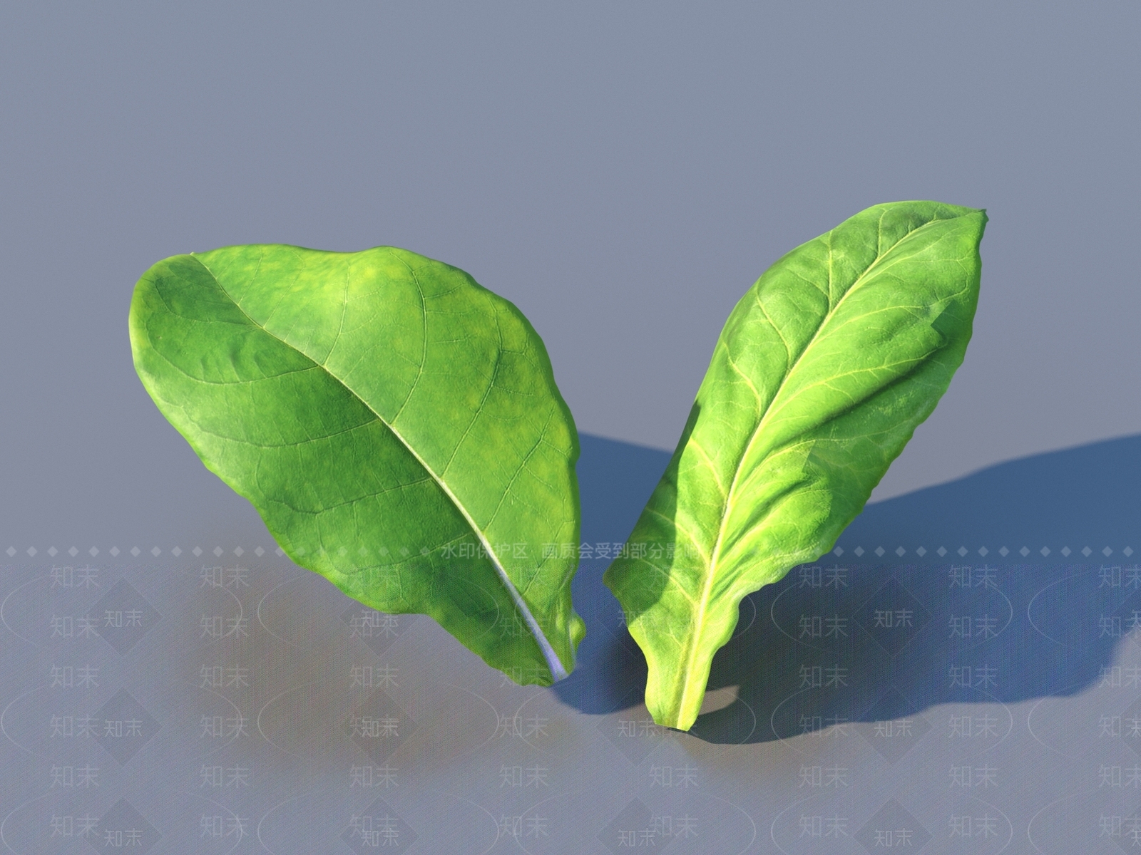 其他树木3D模型下载【ID:1176092712】
