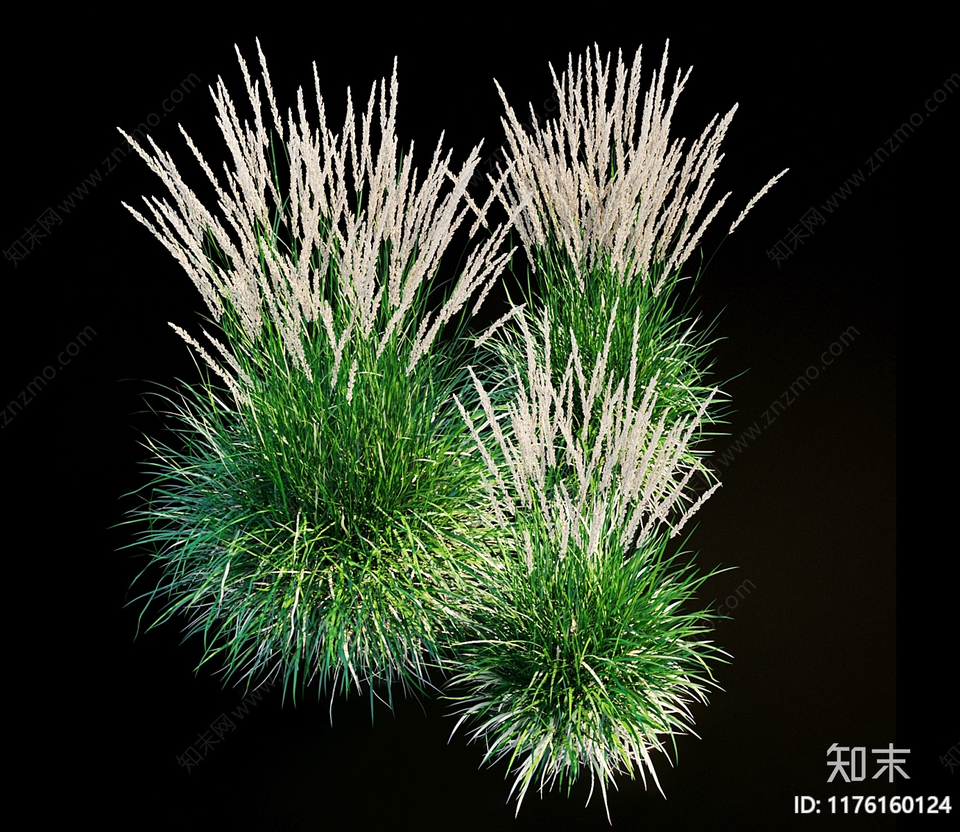 草3D模型下载【ID:1176160124】