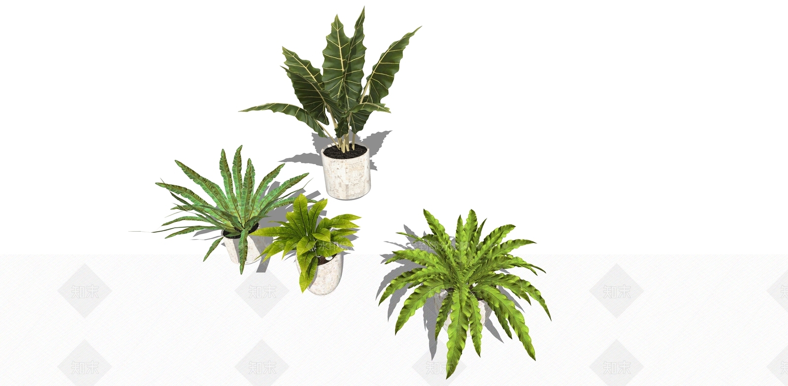 植物组合SU模型下载【ID:1176177171】