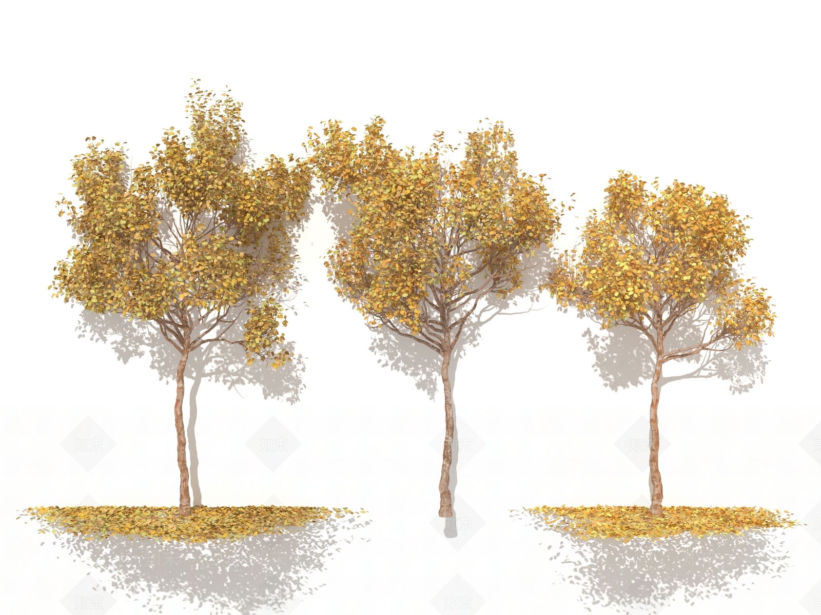 景观树3D模型下载【ID:1176218979】