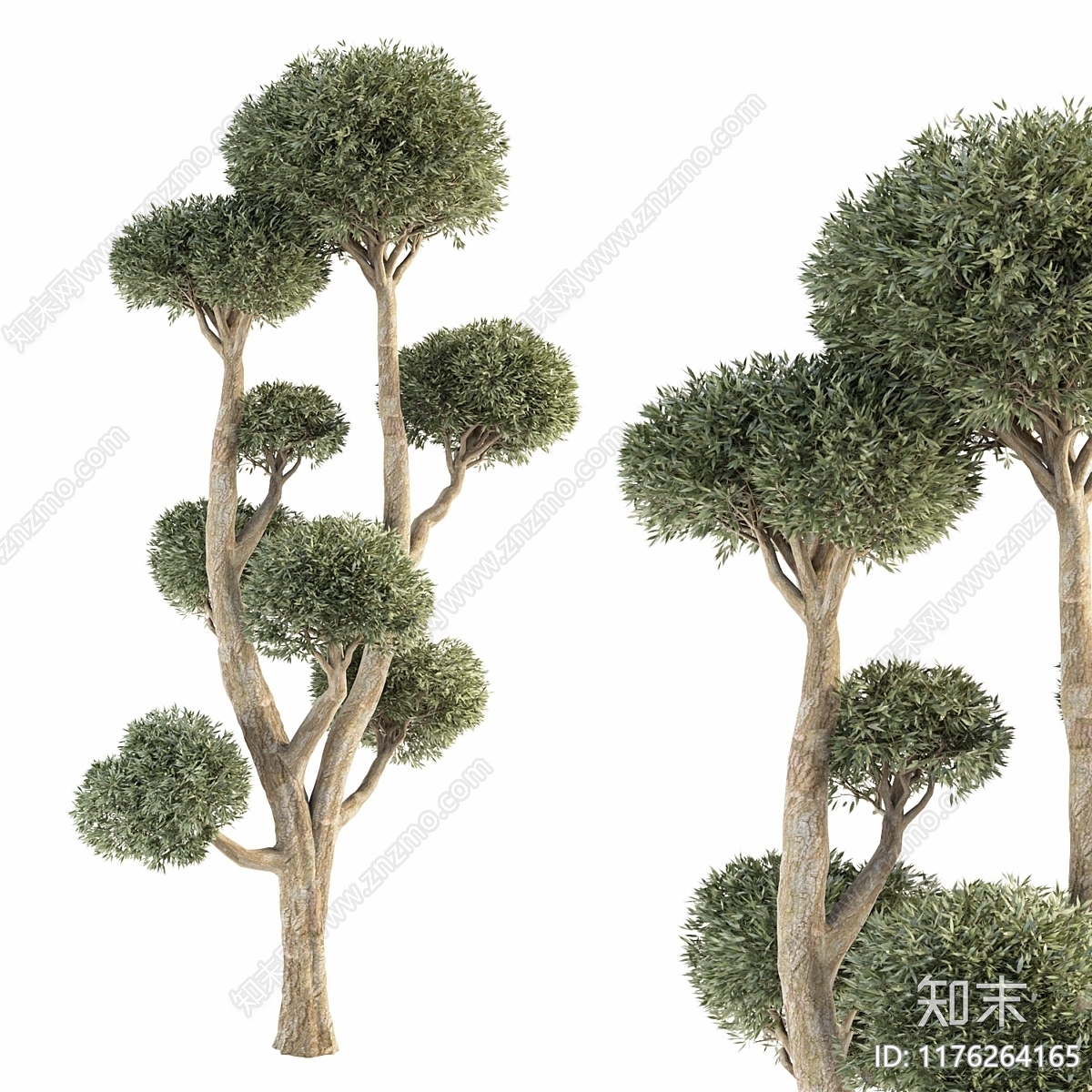 其他树木3D模型下载【ID:1176264165】