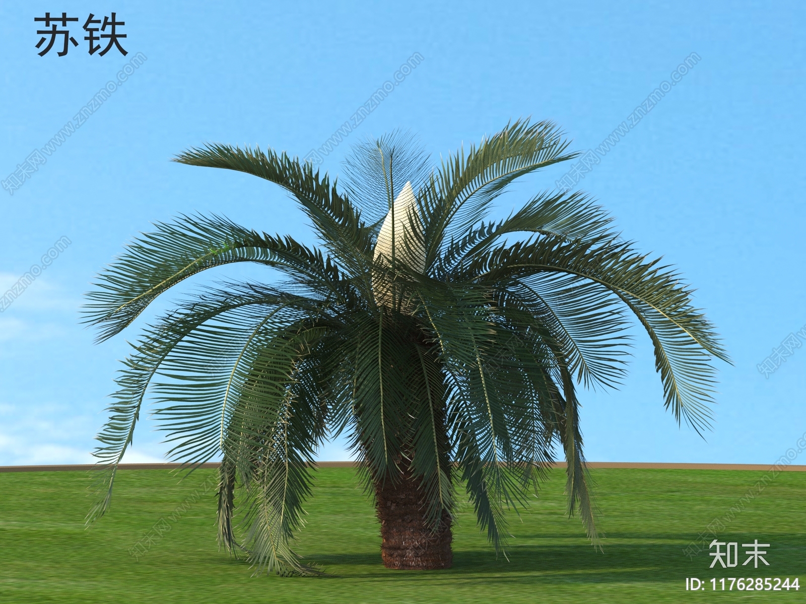 其他树木3D模型下载【ID:1176285244】