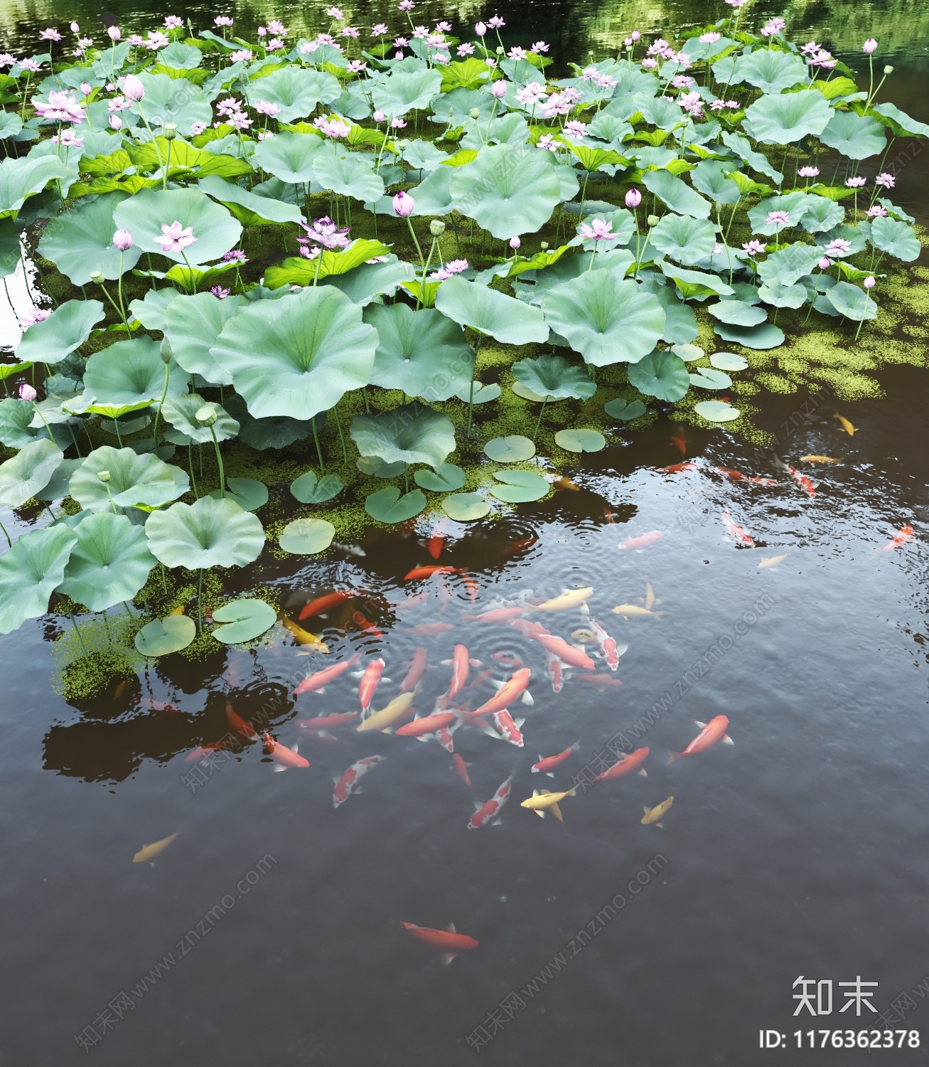 现代乡村景观3D模型下载【ID:1176362378】