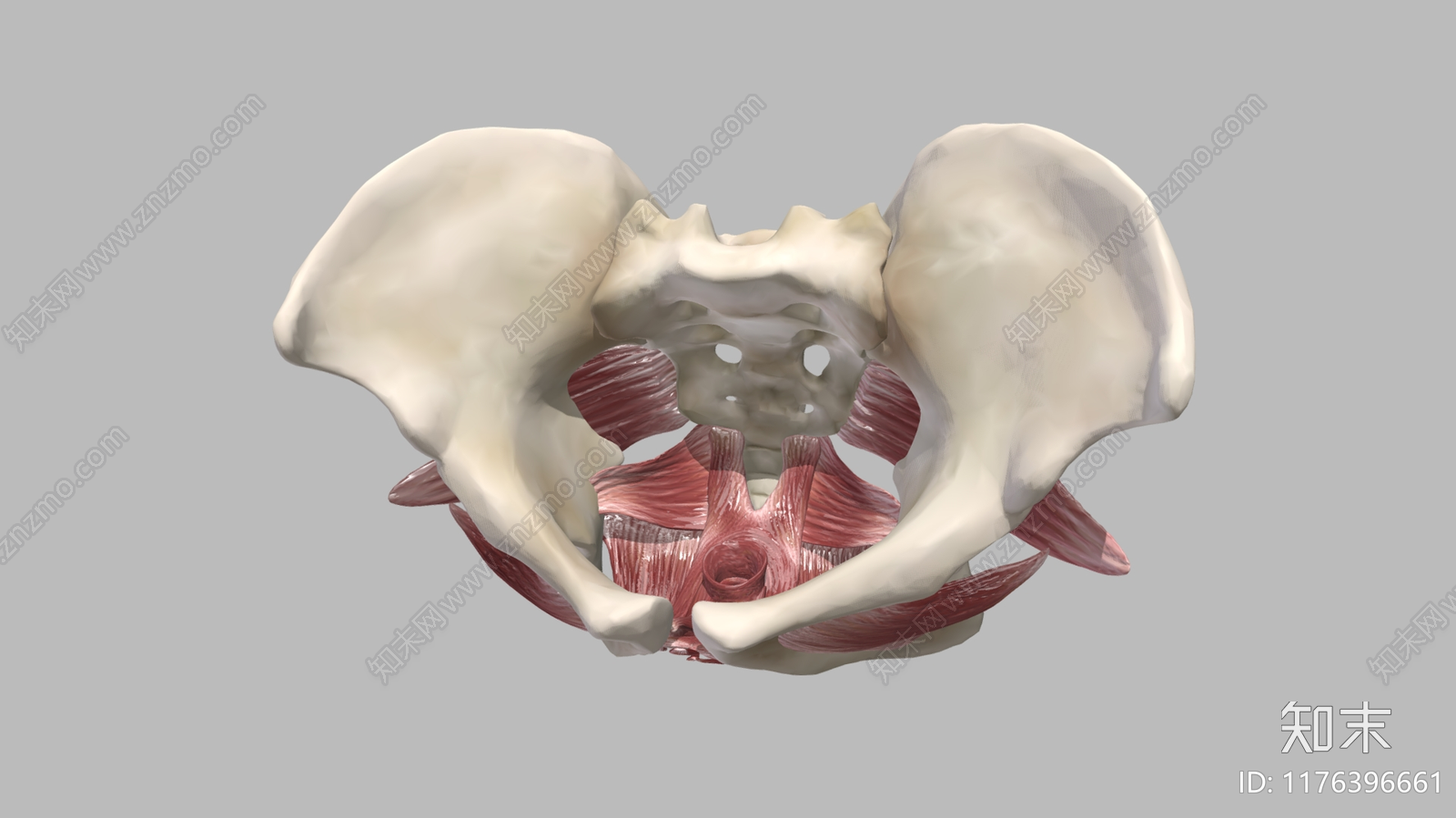 虚拟人物3D模型下载【ID:1176396661】