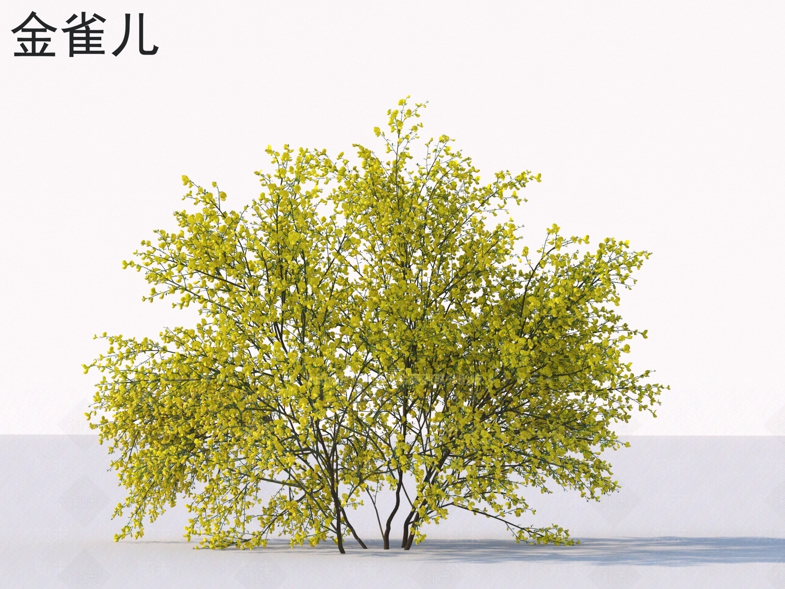 景观树3D模型下载【ID:1176405076】