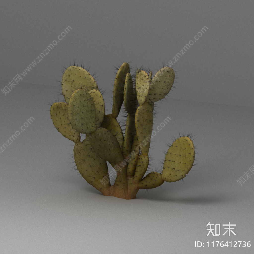 灌木3D模型下载【ID:1176412736】