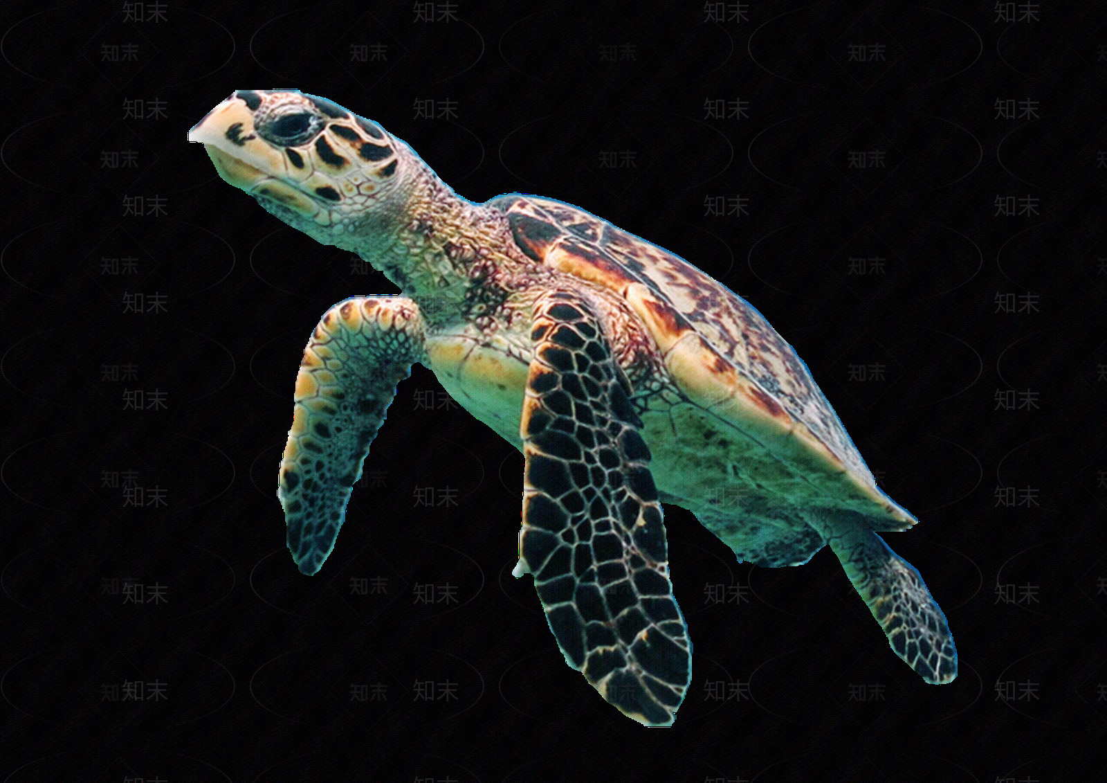 现代中式风景贴图下载【ID:1176471905】