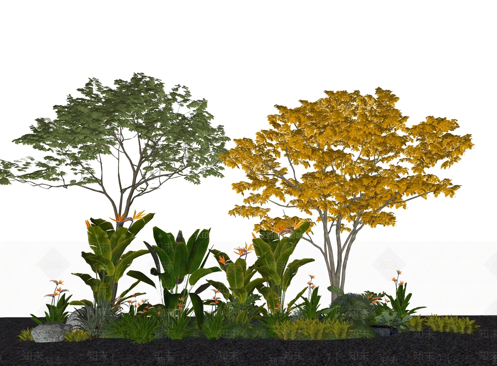 植物组合SU模型下载【ID:1176502408】