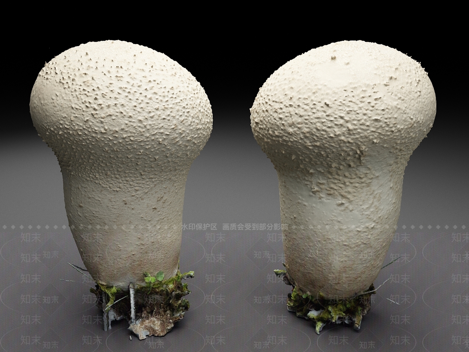 农作物3D模型下载【ID:1176515733】