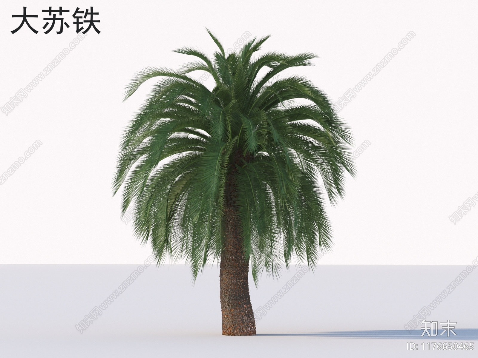 景观树3D模型下载【ID:1176650465】