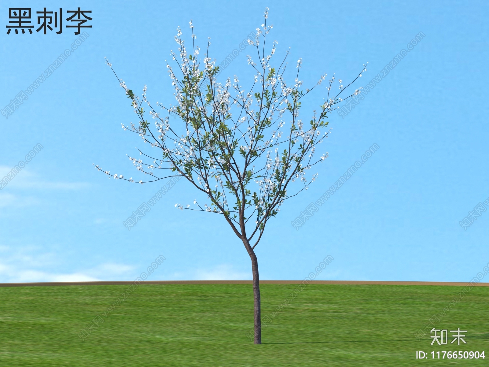 景观树3D模型下载【ID:1176650904】