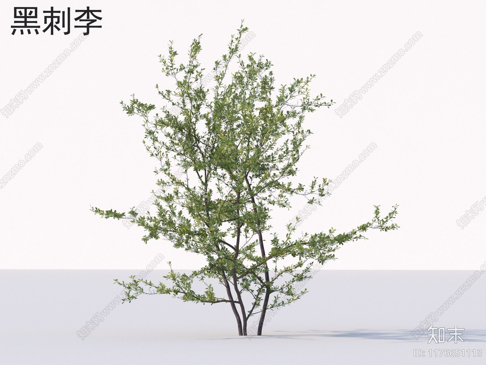 景观树3D模型下载【ID:1176651113】