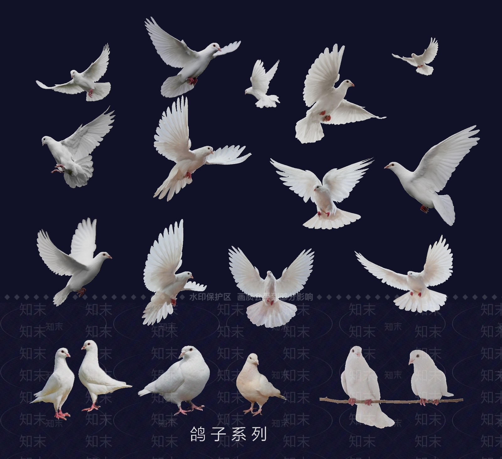 飞行动物SU模型下载【ID:1176658101】