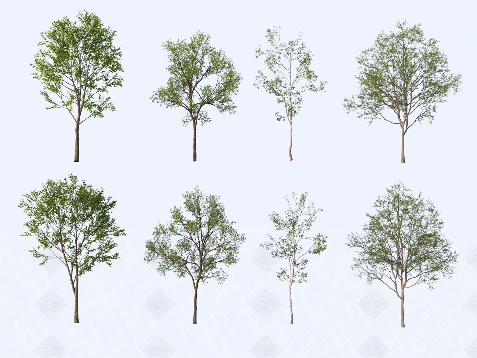 景观树3D模型下载【ID:1176714728】