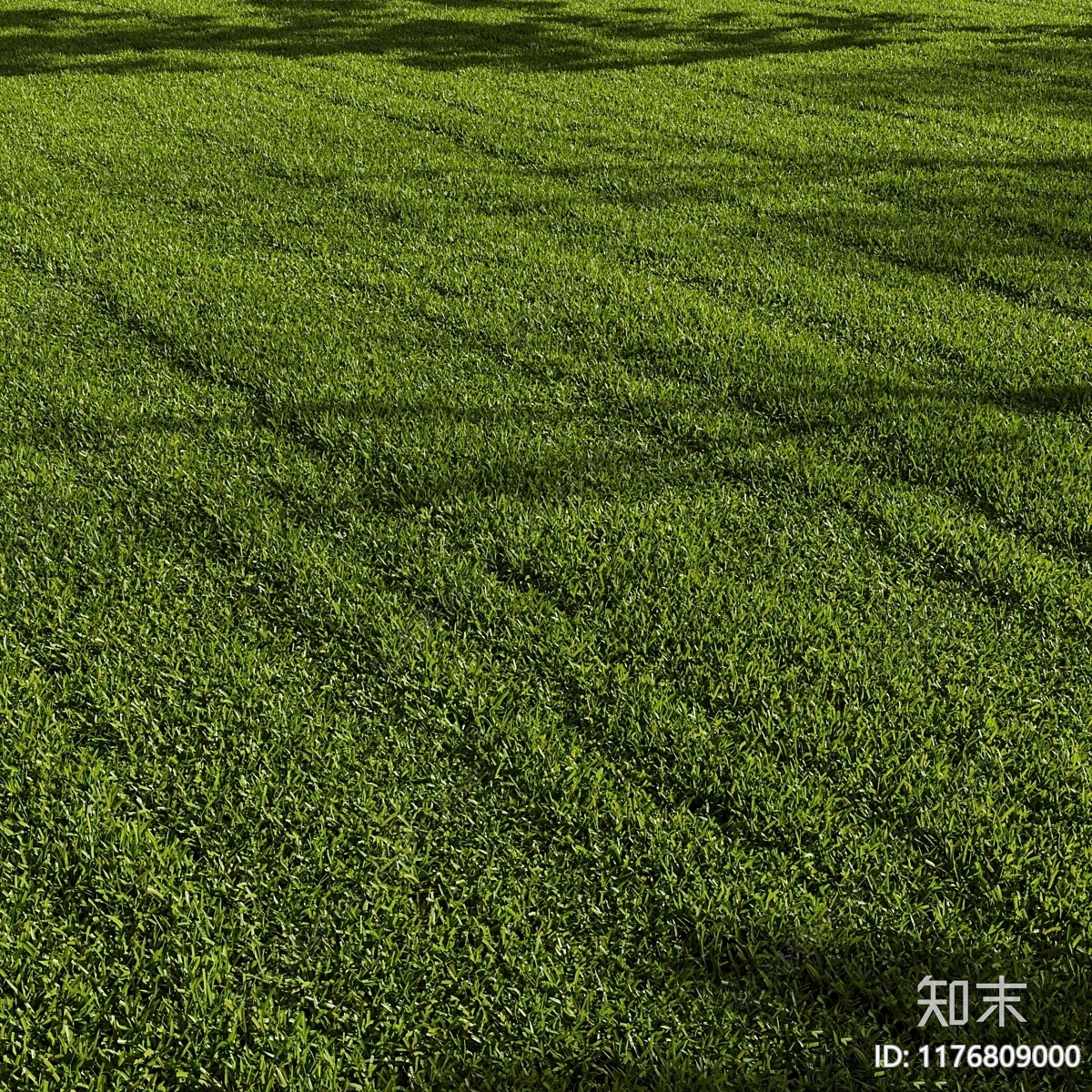 草3D模型下载【ID:1176809000】