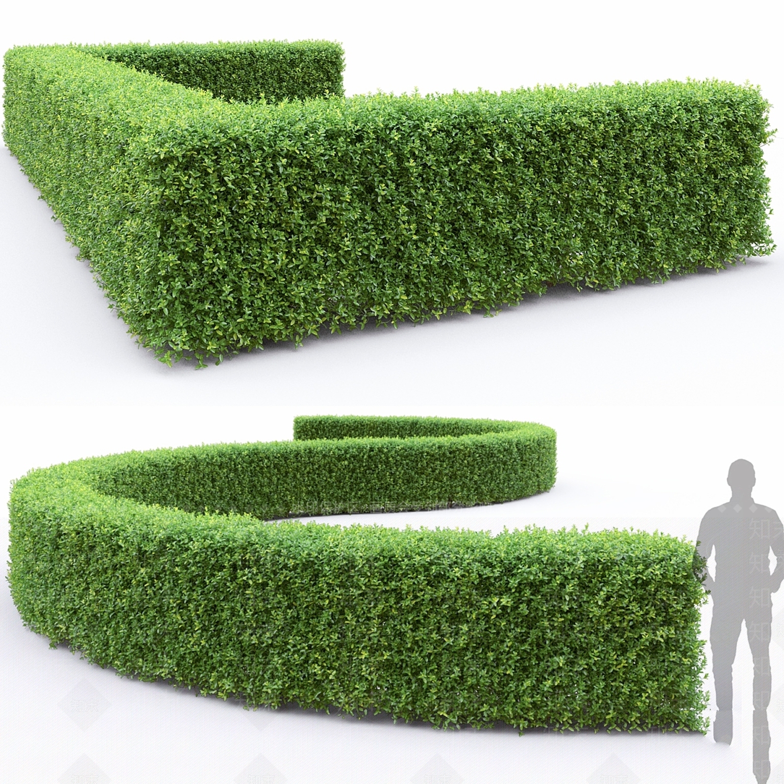 灌木3D模型下载【ID:1176820328】