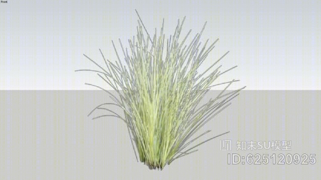花花公子SU模型下载【ID:625120925】