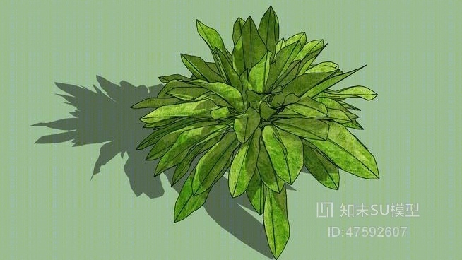 草SU模型下载【ID:219298189】