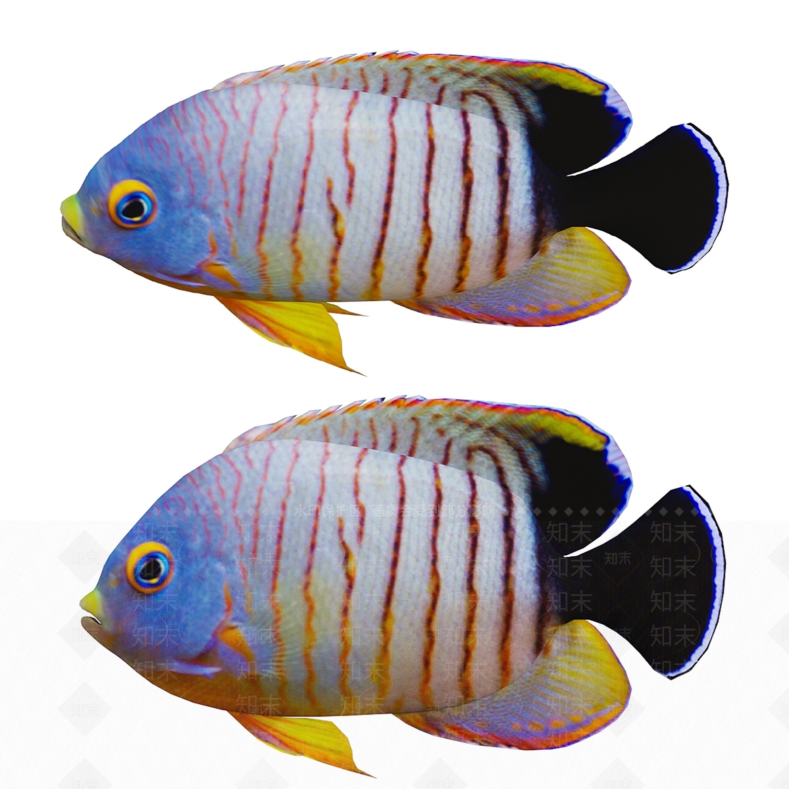 其他动物3D模型下载【ID:1176843865】