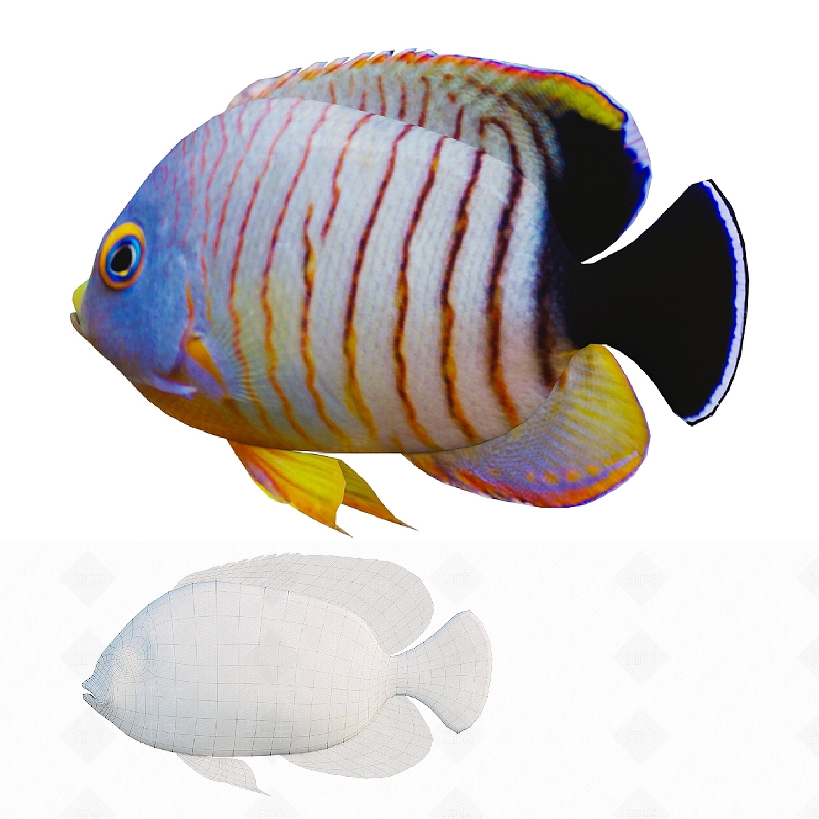 其他动物3D模型下载【ID:1176843865】