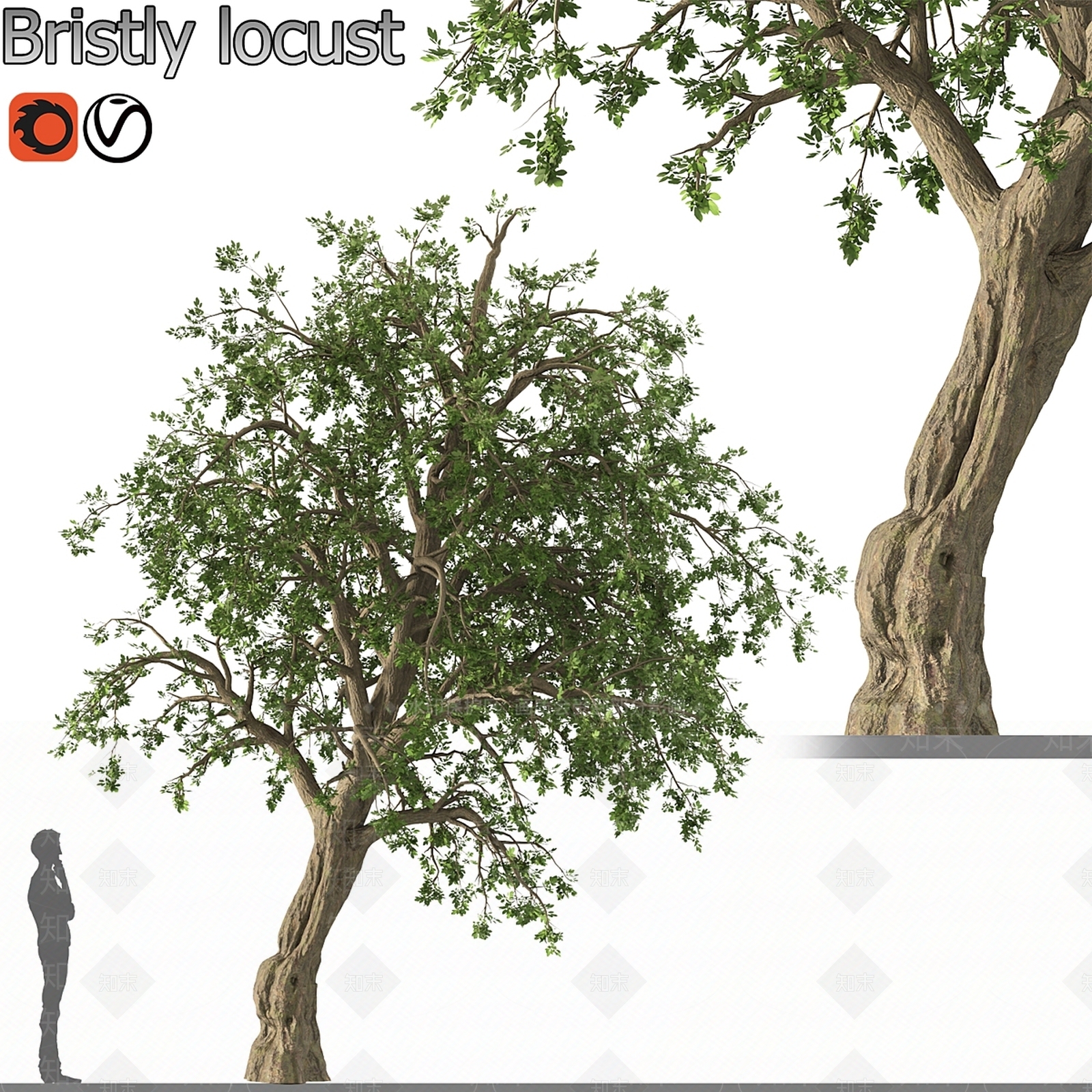 其他树木3D模型下载【ID:1176845419】