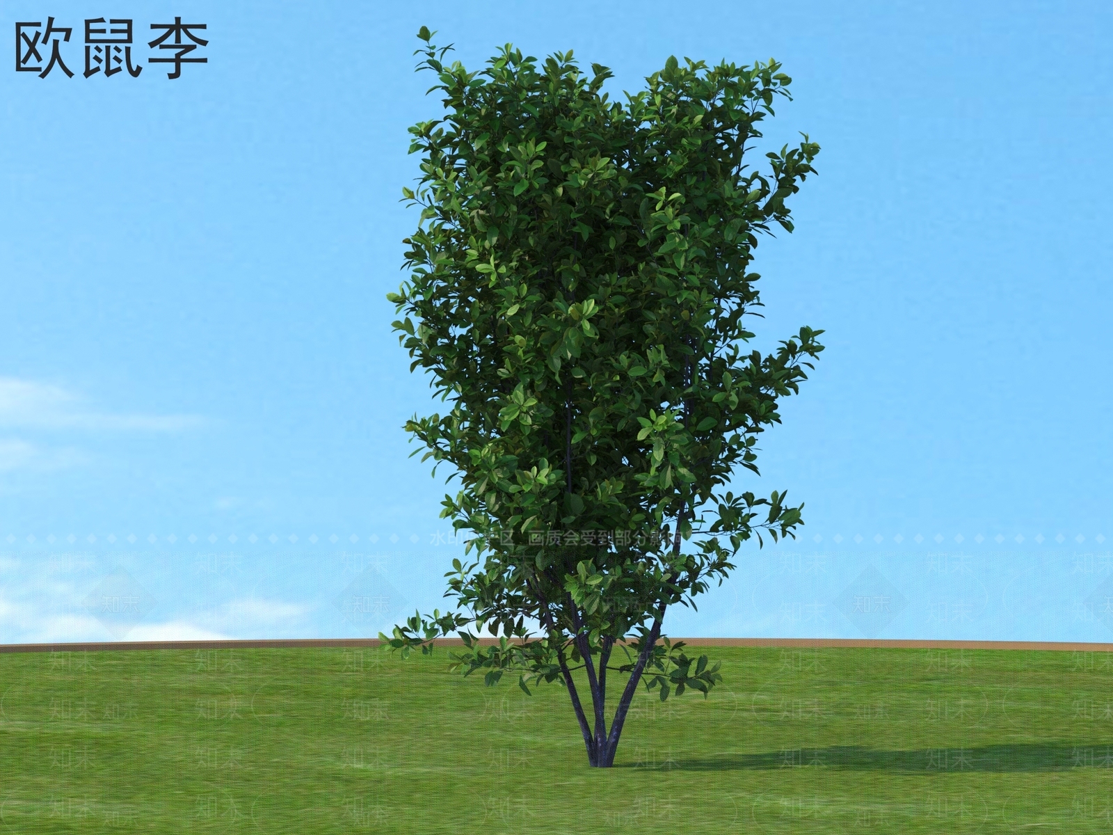 灌木3D模型下载【ID:1176885851】