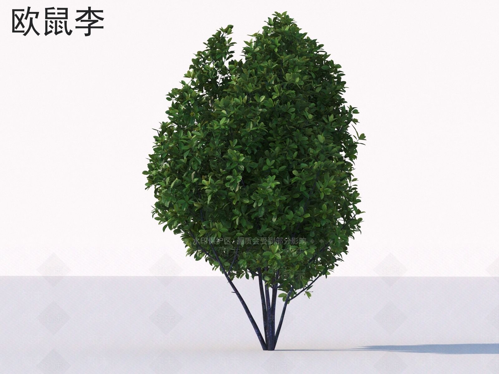 灌木3D模型下载【ID:1176885876】