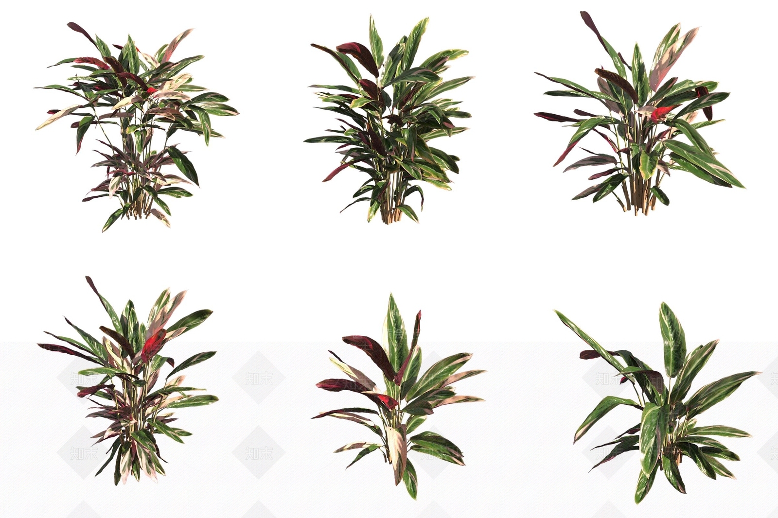花草组合3D模型下载【ID:1176929671】