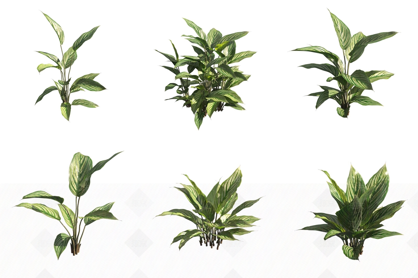 植物堆3D模型下载【ID:1176930148】