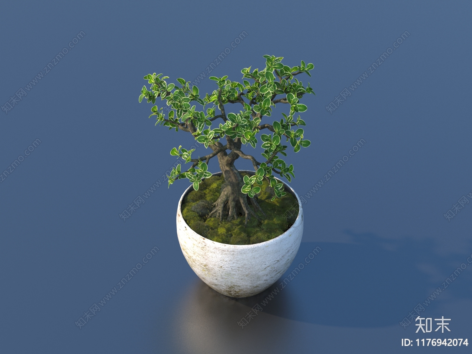 盆栽3D模型下载【ID:1176942074】