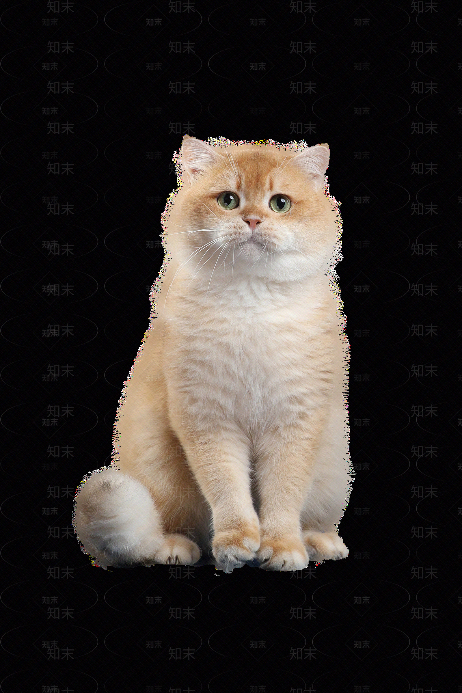 现代新中式风景贴图下载【ID:1176943631】