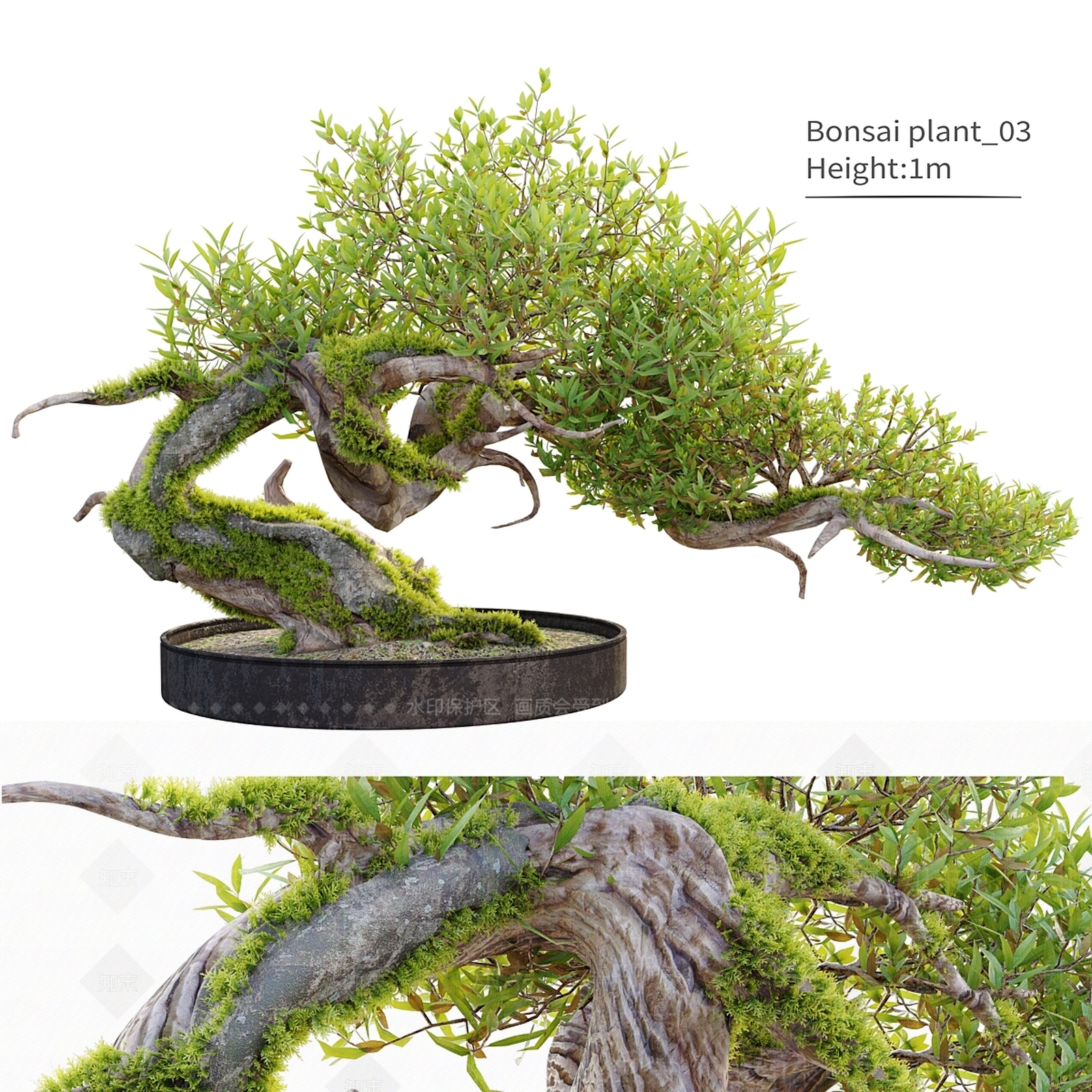 其他树木3D模型下载【ID:1176957225】