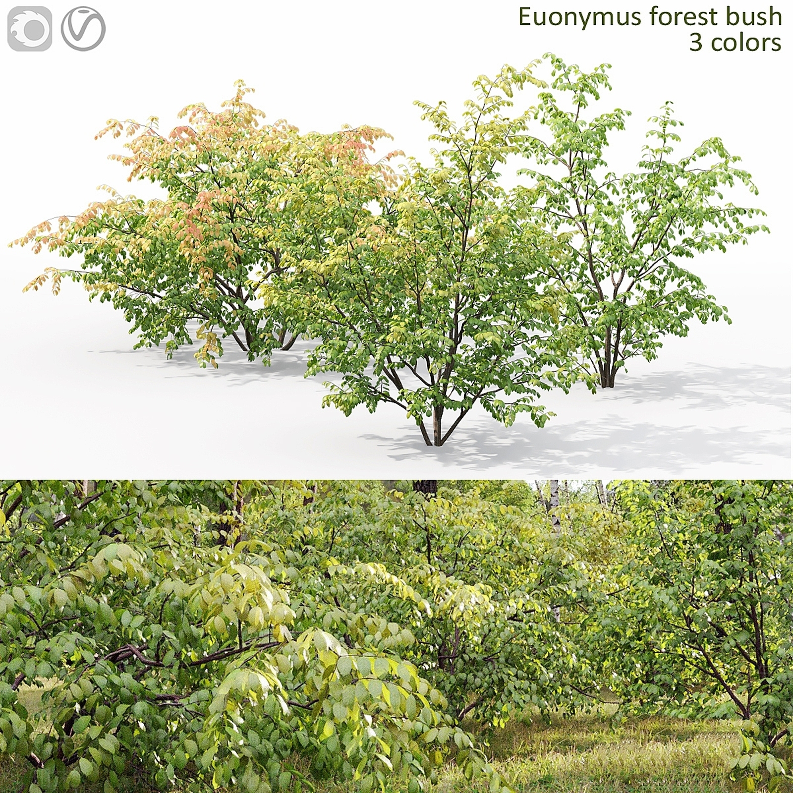 灌木3D模型下载【ID:1177031285】