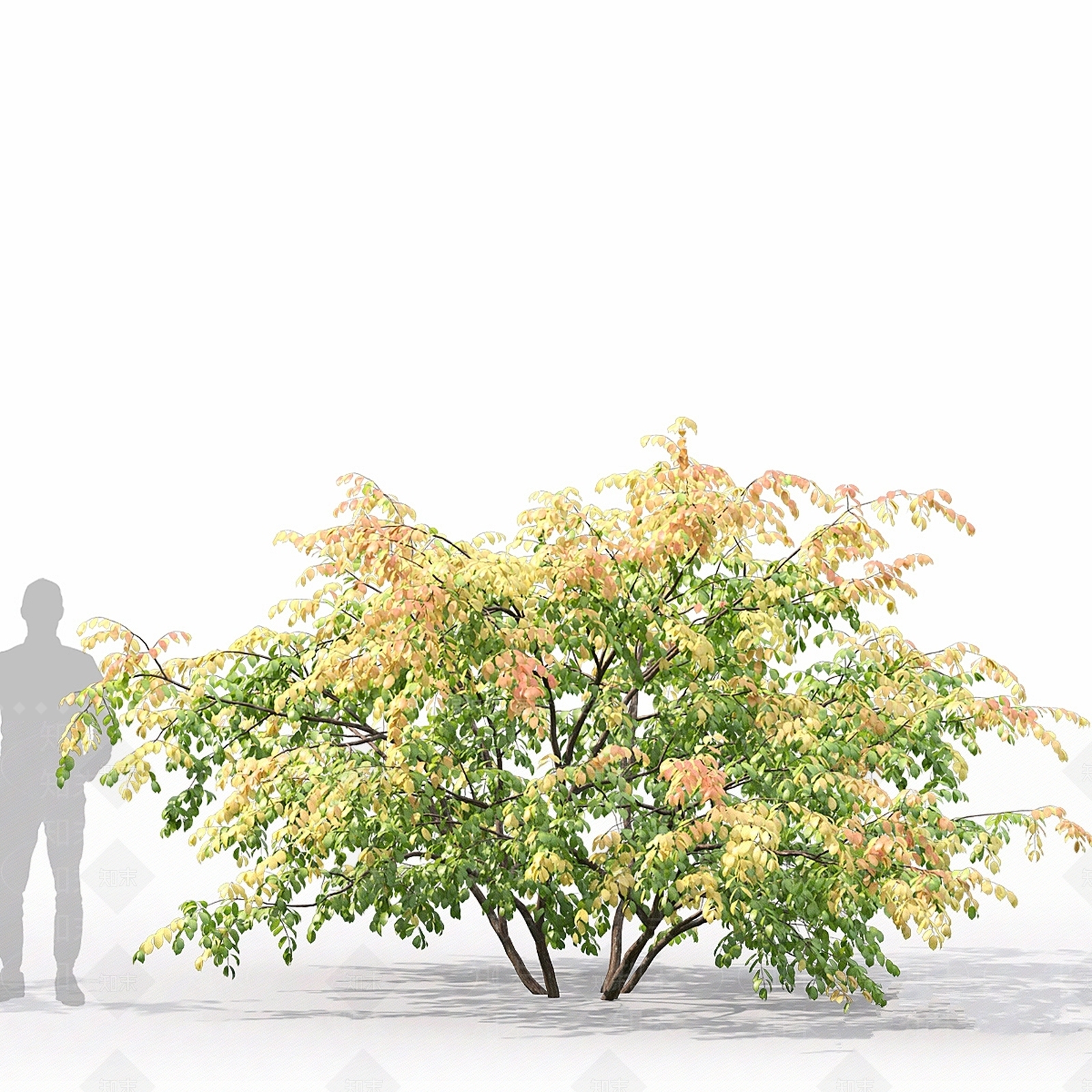 灌木3D模型下载【ID:1177031285】