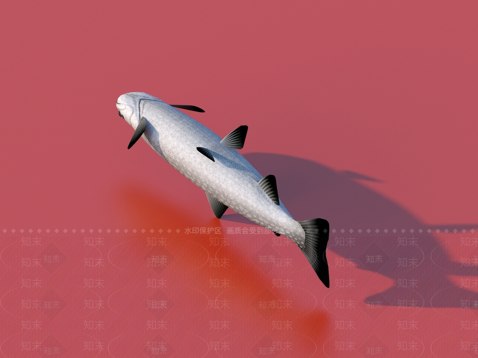 水生类动物3D模型下载【ID:1177096662】