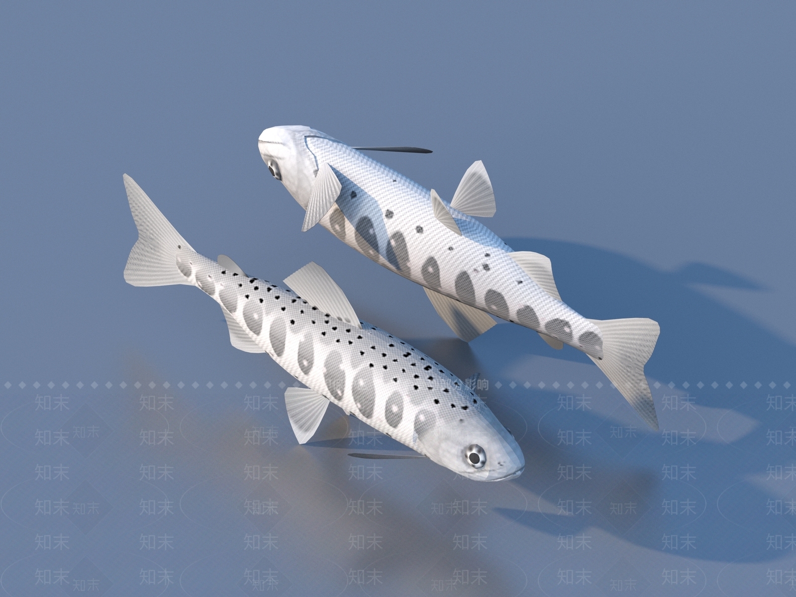 水生类动物3D模型下载【ID:1177097228】