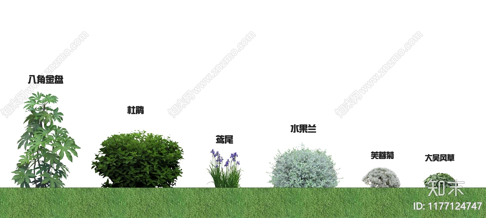 花草SU模型下载【ID:1177124747】