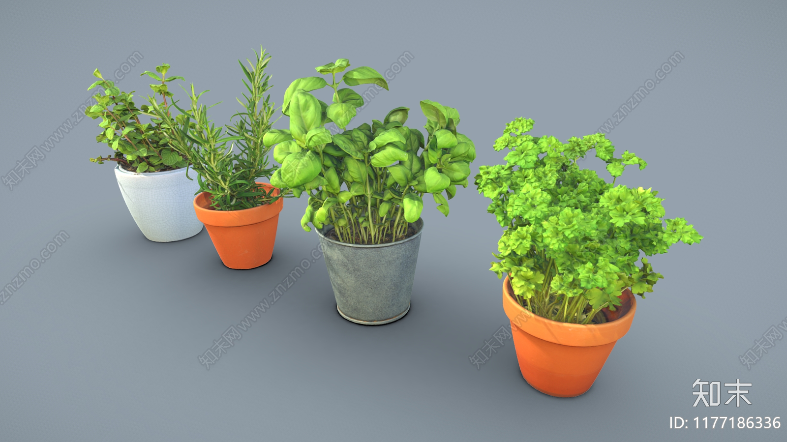 盆栽3D模型下载【ID:1177186336】